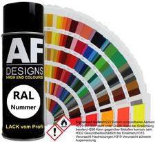 RAL Lackspray matt Autolack